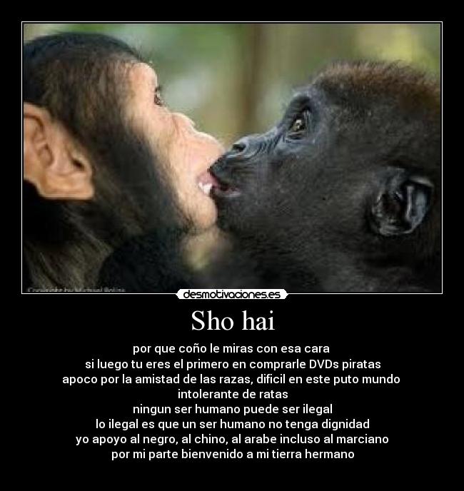 Sho hai - por que coño le miras con esa cara
si luego tu eres el primero en comprarle DVDs piratas
apoco por la amistad de las razas, dificil en este puto mundo
intolerante de ratas
ningun ser humano puede ser ilegal
lo ilegal es que un ser humano no tenga dignidad
yo apoyo al negro, al chino, al arabe incluso al marciano
por mi parte bienvenido a mi tierra hermano