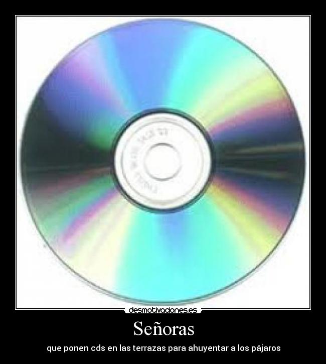 Señoras - que ponen cds en las terrazas para ahuyentar a los pájaros