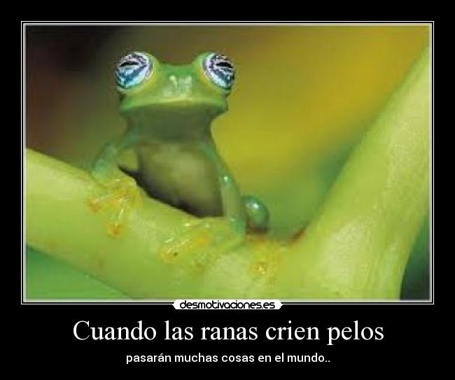 Cuando las ranas crien pelos -