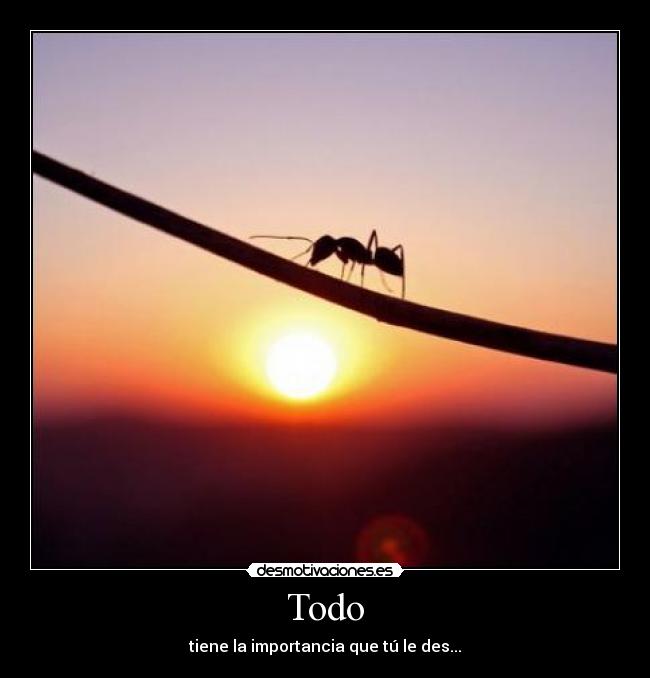 Todo - 