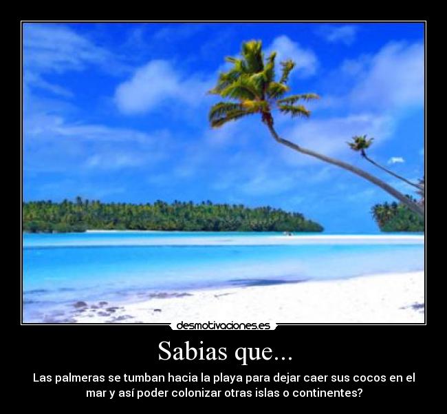 Sabias que... - 
