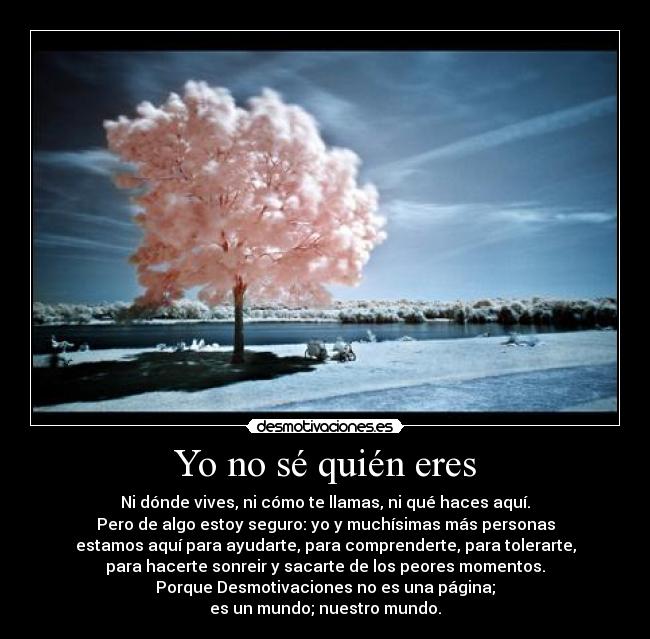 Yo no sé quién eres -