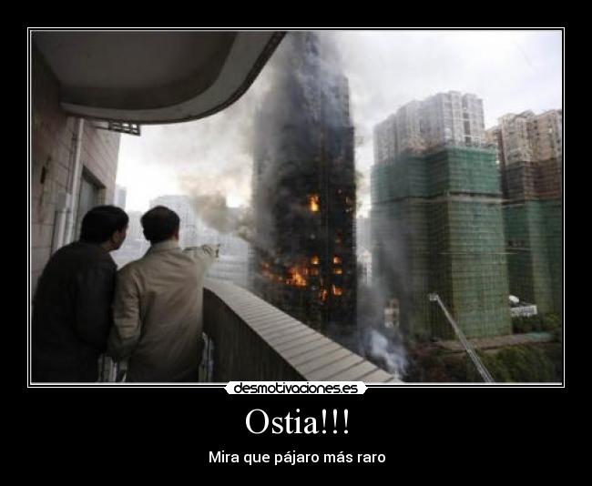 Ostia!!! - Mira que pájaro más raro