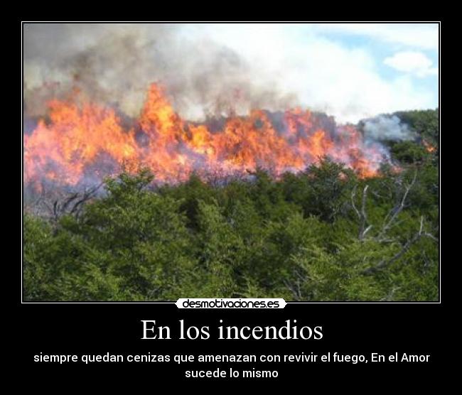 En los incendios - siempre quedan cenizas que amenazan con revivir el fuego, En el Amor
sucede lo mismo