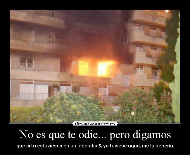 No es que te odie... pero digamos - que si tu estuvieses en un incendio & yo tuviese agua, me la bebería.