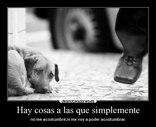 Hay cosas a las que simplemente -