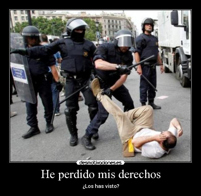 He perdido mis derechos - ¿Los has visto?