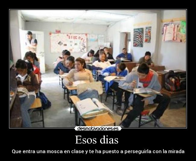 Esos dias - Que entra una mosca en clase y te ha puesto a perseguirla con la mirada