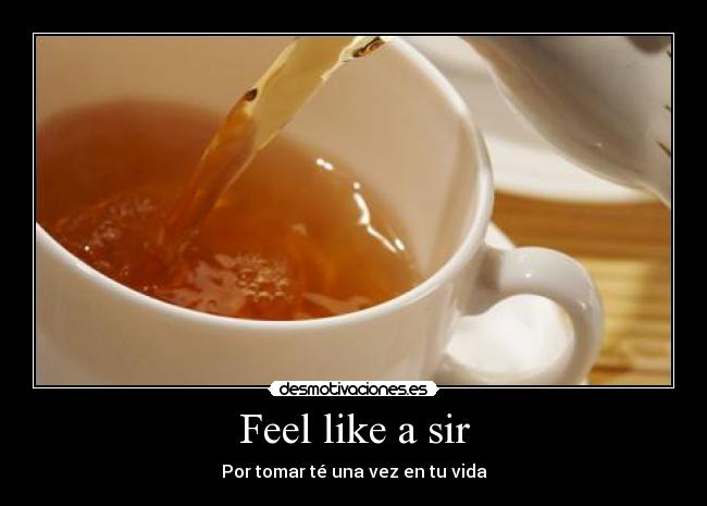 carteles feel like sir desmotivaciones