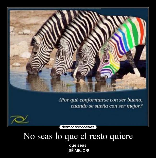 No seas lo que el resto quiere -