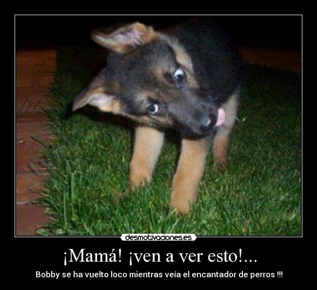 ¡Mamá! ¡ven a ver esto!... -