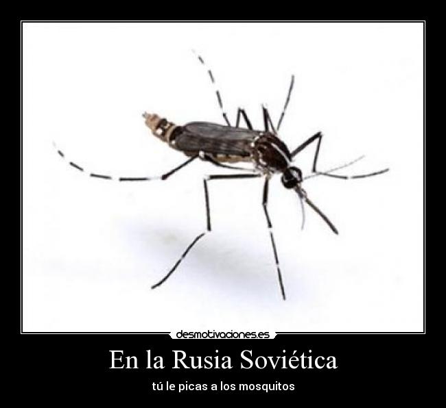 carteles para que son las etiquetas desmotivaciones