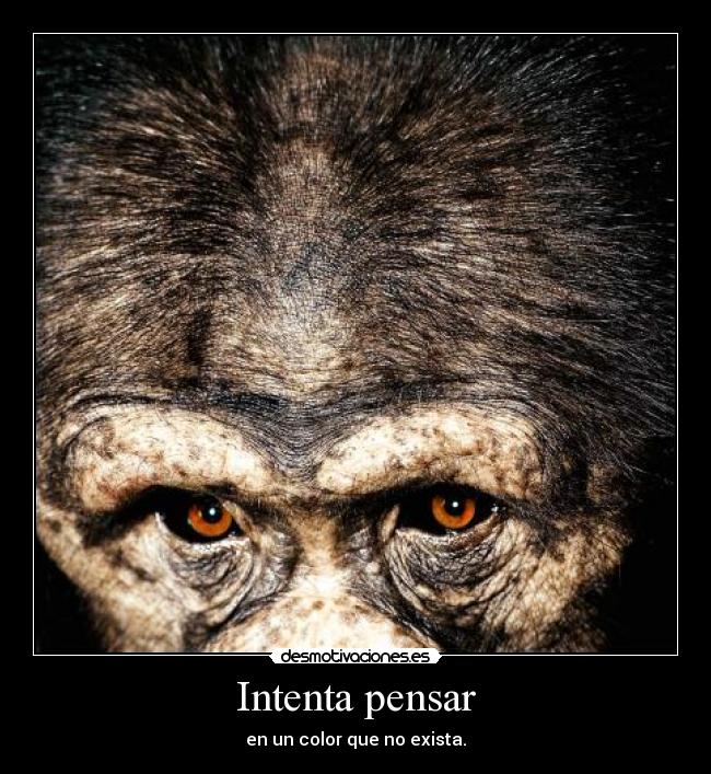 Intenta pensar -