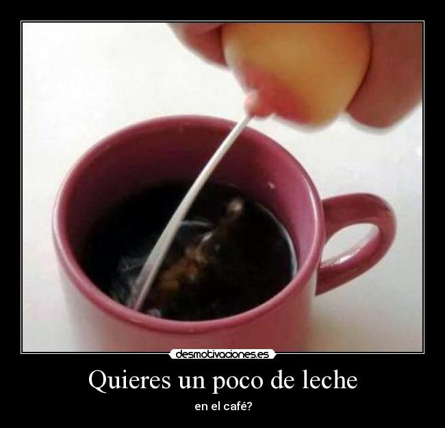 Quieres un poco de leche - en el café?