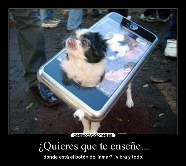 carteles que ensena vida desmotivaciones