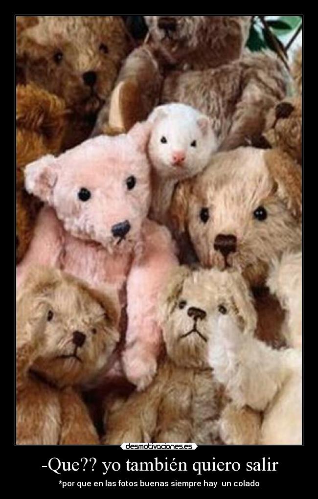 -Que?? yo también quiero salir - 