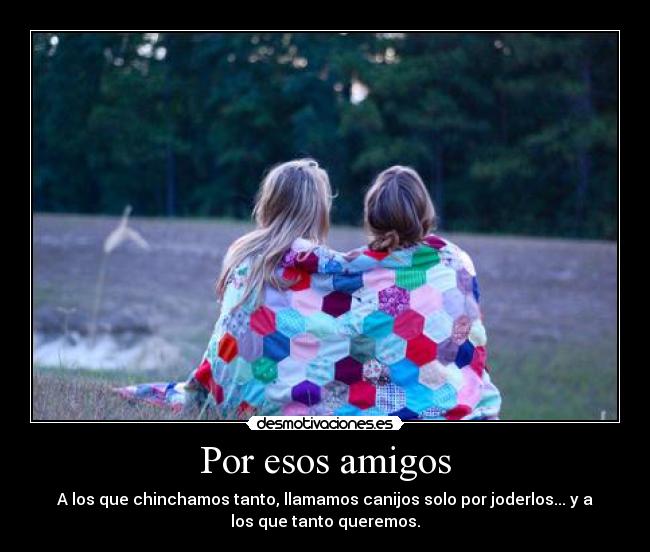 Por esos amigos - 