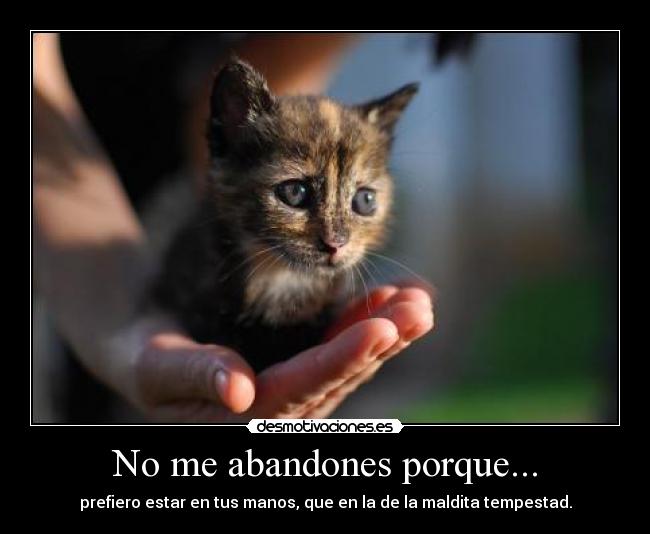 No me abandones porque... - 