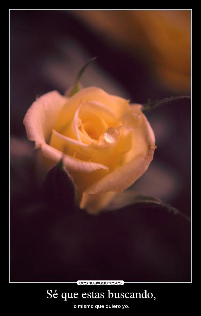 Sé que estas buscando, - lo mismo que quiero yo.