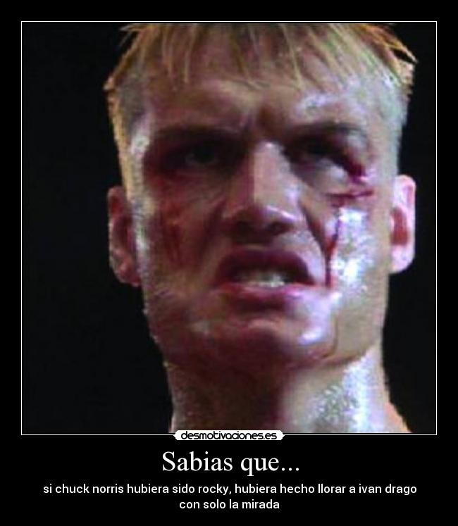 Sabias que... - si chuck norris hubiera sido rocky, hubiera hecho llorar a ivan drago
con solo la mirada