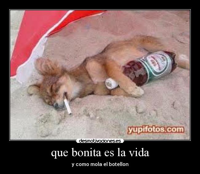 carteles vida lunaloca desmotivaciones