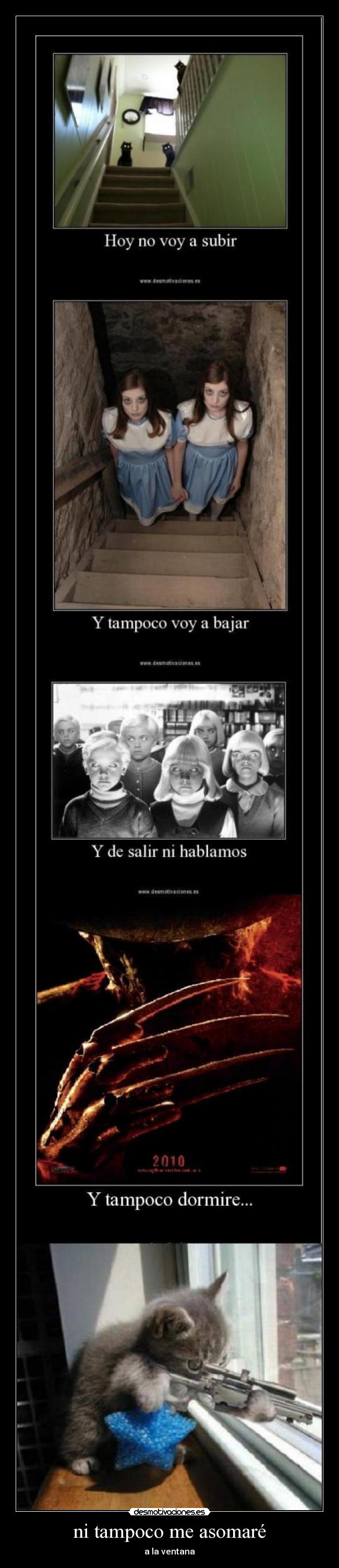 ni tampoco me asomaré - a la ventana