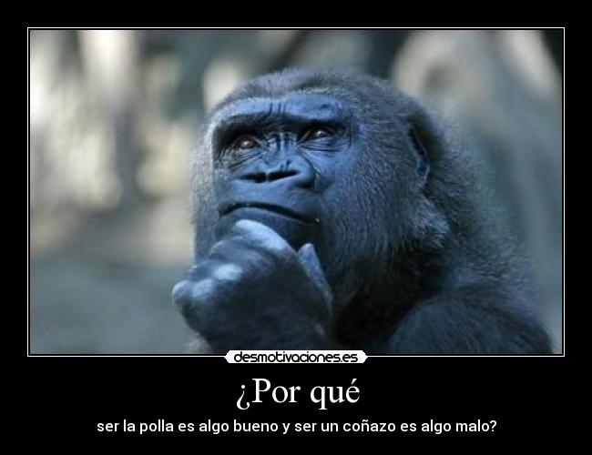 ¿Por qué -