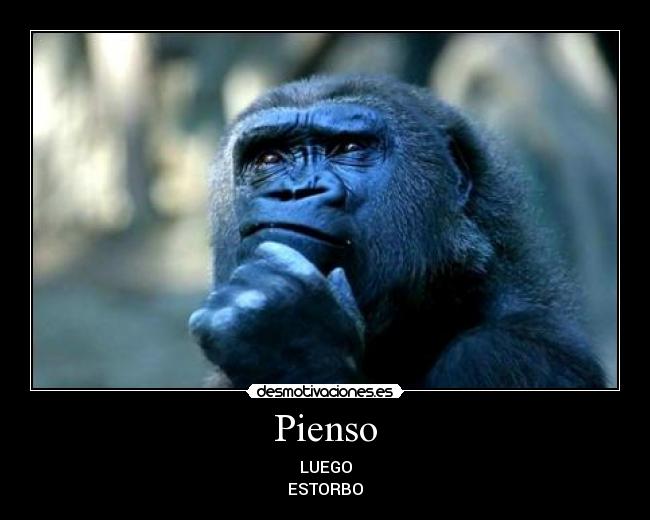 Pienso -