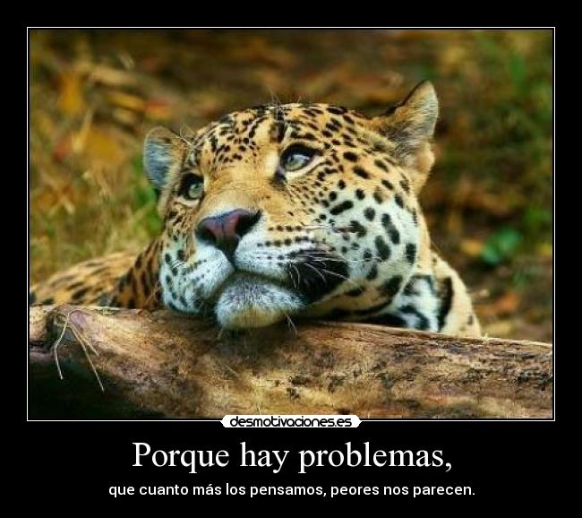 Porque hay problemas, -