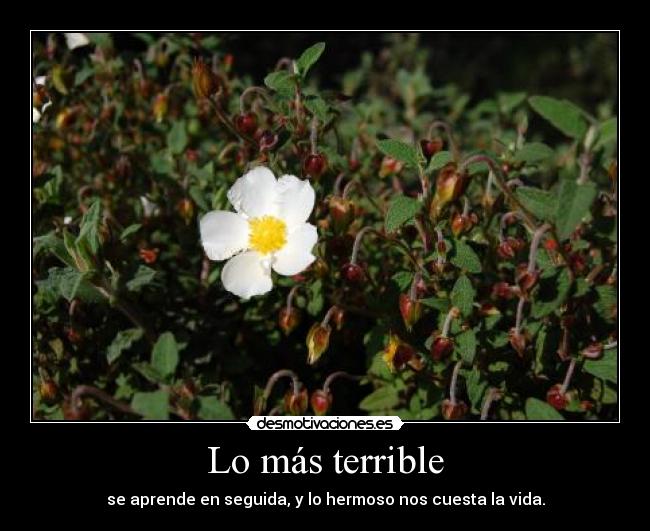 carteles laura_86 desmotivaciones