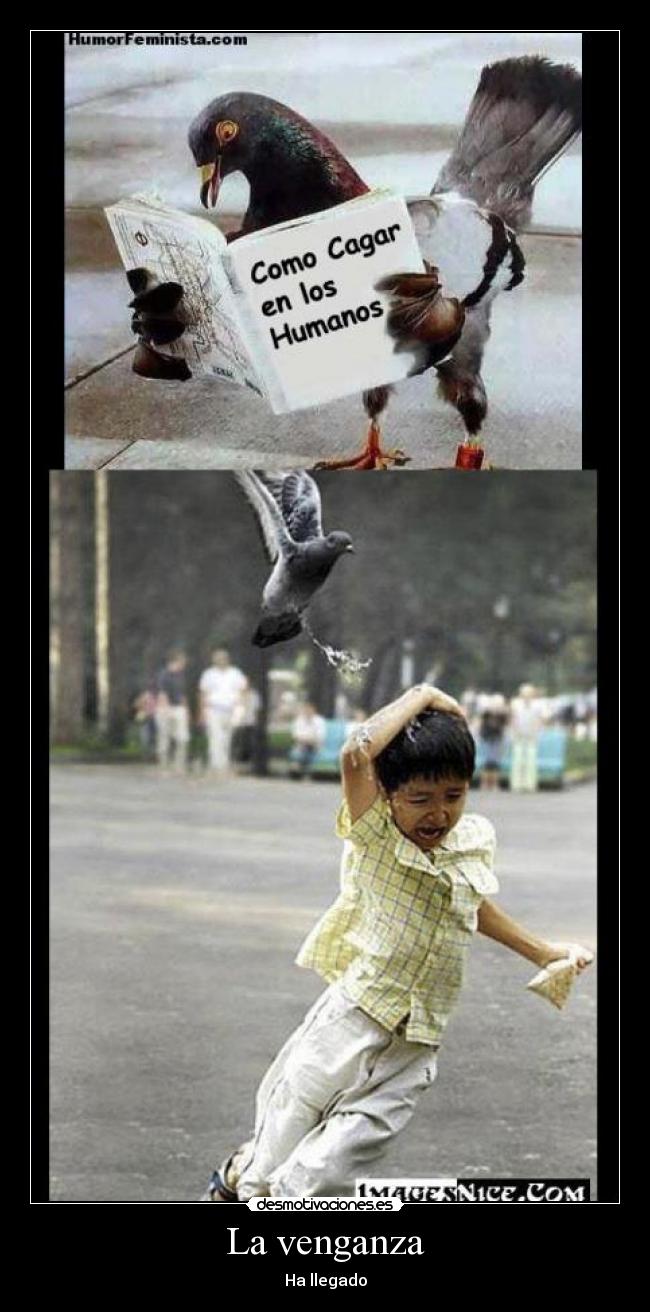 La venganza - Ha llegado