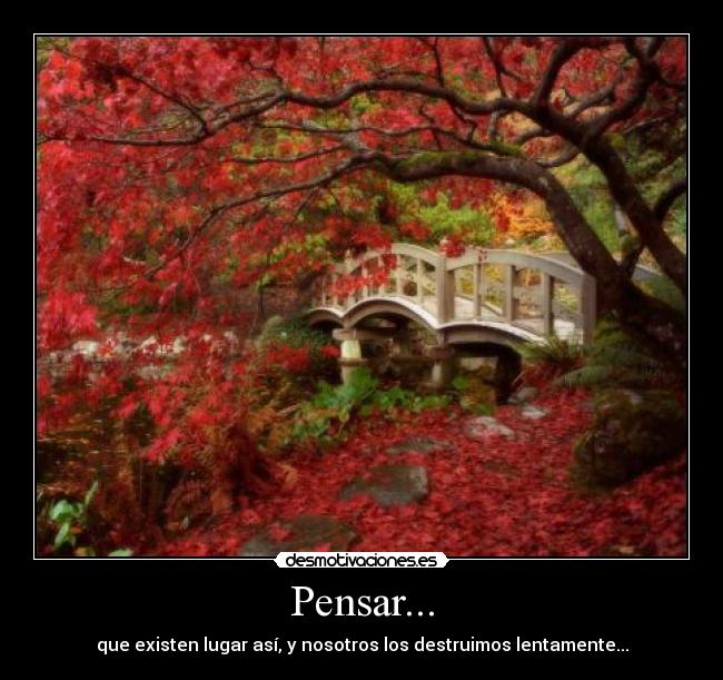 Pensar... -