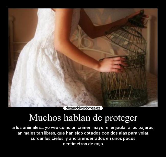 Muchos hablan de proteger - 