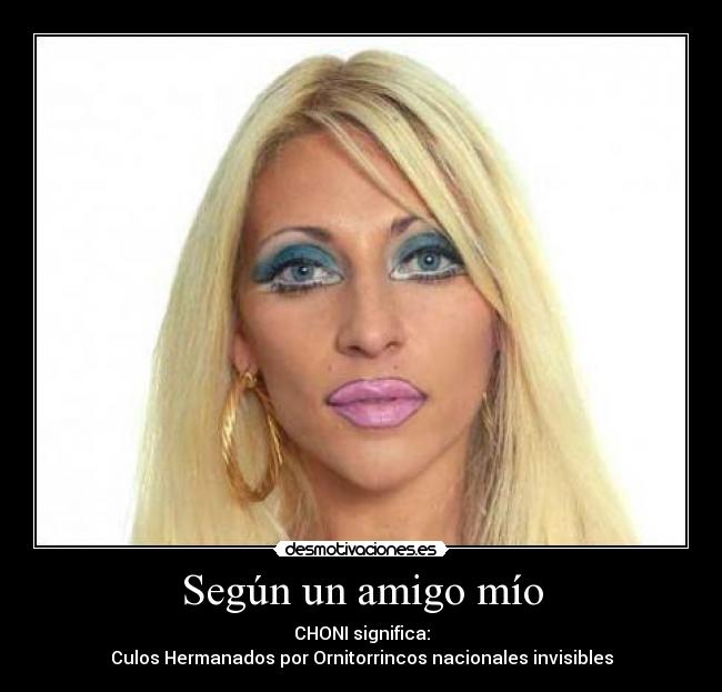 carteles choni amigo cani desmotivaciones