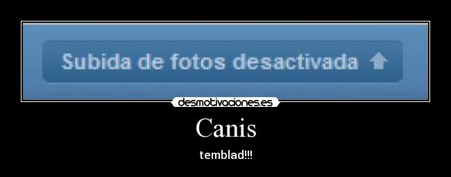 Canis - temblad!!!