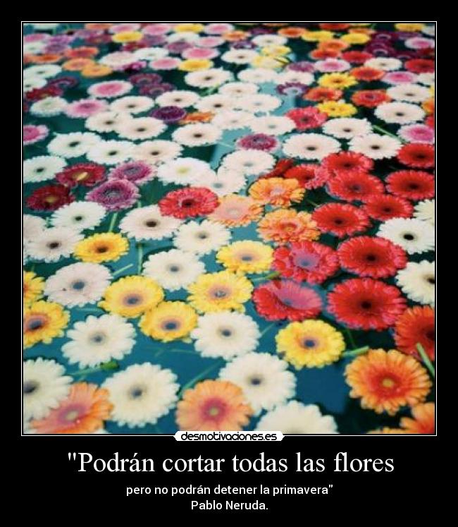 Podrán cortar todas las flores - pero no podrán detener la primavera
Pablo Neruda.