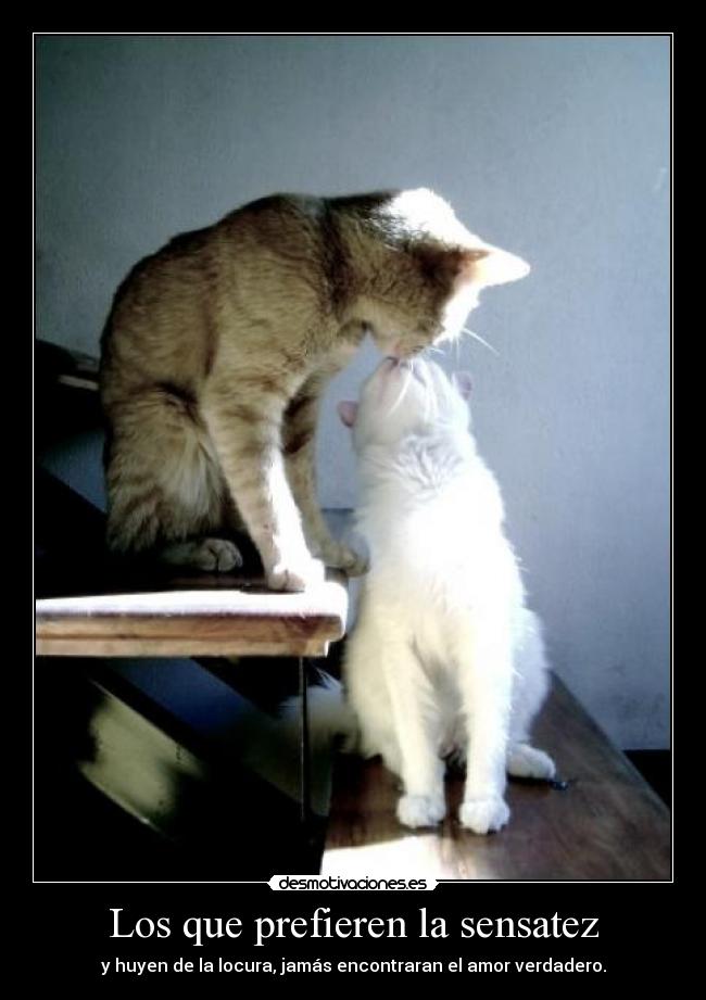 carteles alinfiernomevoy desmotivaciones