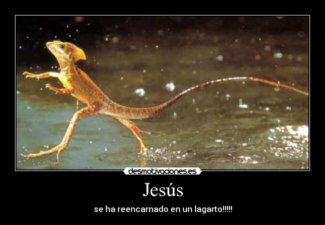 Jesús - se ha reencarnado en un lagarto!!!!!