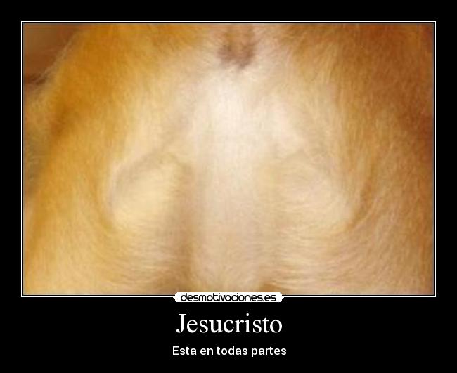 carteles jesus perro cola mesi trollface desmotivaciones