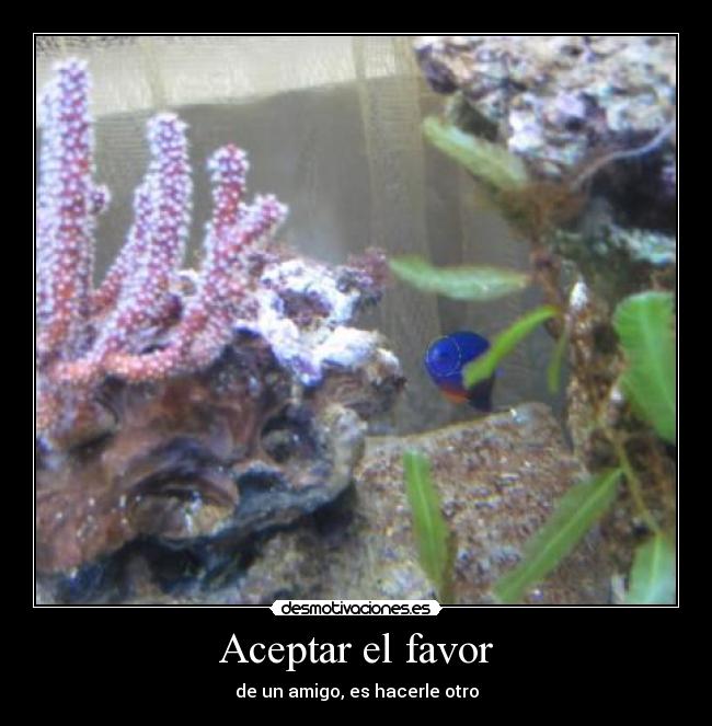 carteles leckram desmotivaciones