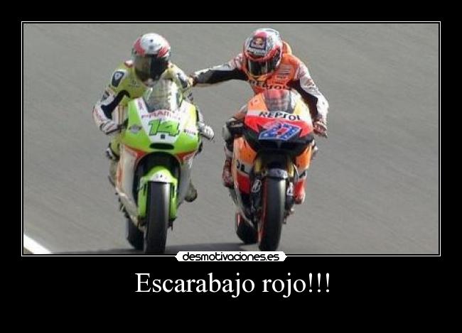 Escarabajo rojo!!! - 