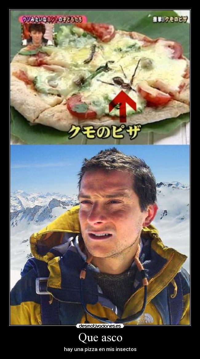 Que asco - hay una pizza en mis insectos