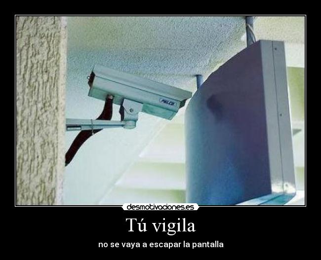 Tú vigila -