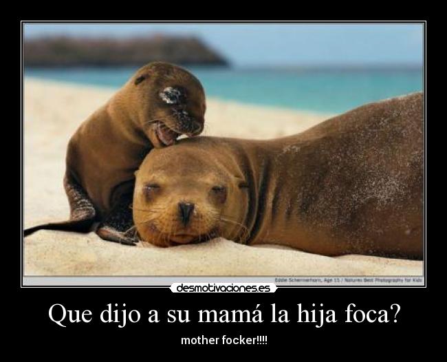 Que dijo a su mamá la hija foca? - 