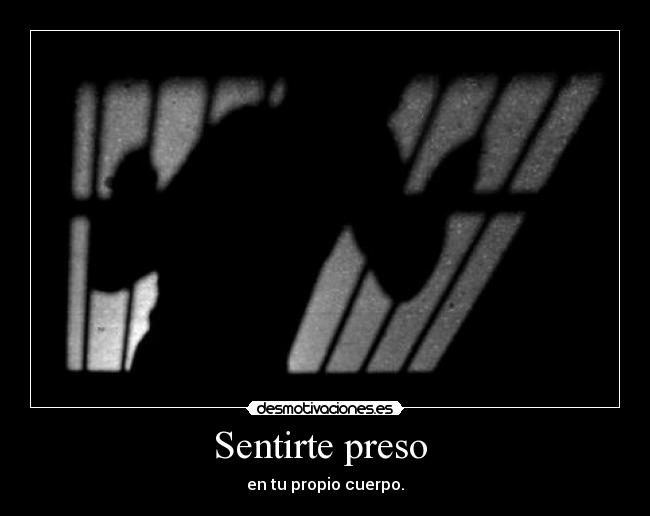 carteles preso desmotivaciones