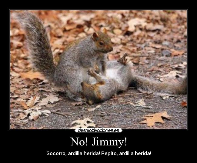 No! Jimmy! - 