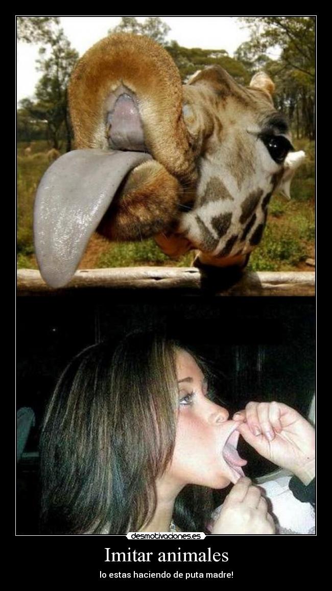Imitar animales - lo estas haciendo de puta madre!