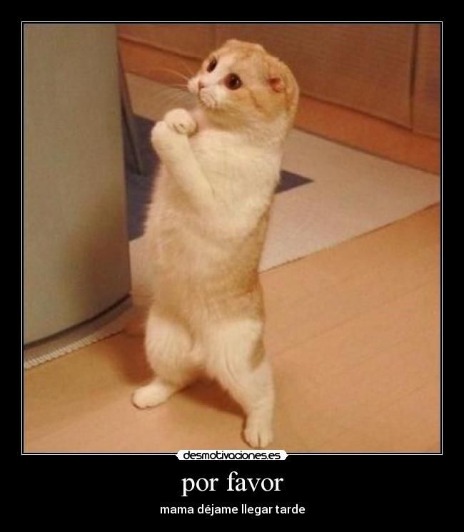 por favor - mama déjame llegar tarde