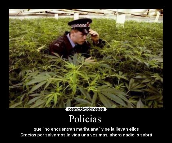 Policias  - 