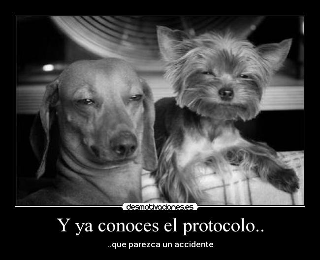 Y ya conoces el protocolo.. - 